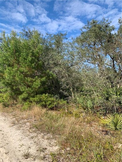 0 Brandywine Trail unit P4913691, Frostproof, FL 33843 - photo 6