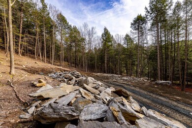 0 Alden Partridge Rd unit 4911426, Hartford, VT 05059 - photo 4