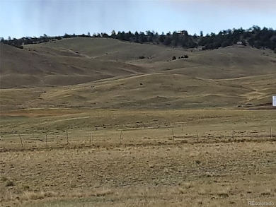 00 Comstick Rd, Hartsel, CO 80449 - photo 2