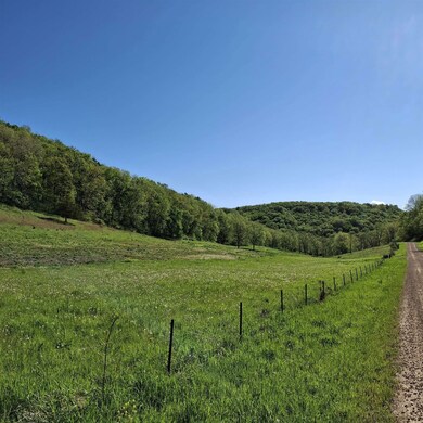 40 Acre unit Walnut Lane, Richland Center, WI 53581 - photo 2