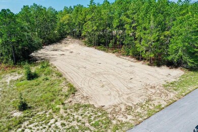 12828 SW 86th Cir, Ocala, FL 34473 - photo 6