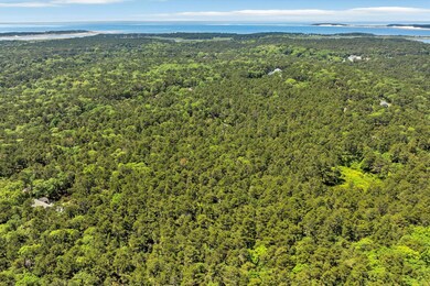 14-dji_fly_20250619_115422_22_1750358572