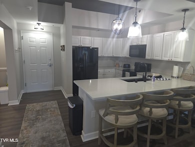 120 Raceday Center Dr unit 604, Bristol, TN 37620 - photo 4