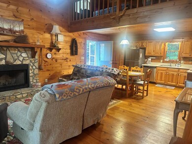 122 N Riverview Ln, Ellijay, GA 30536 - photo 7