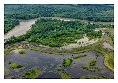 787 Lower Lockhart Rd, Cord, AR 72524 - photo 4