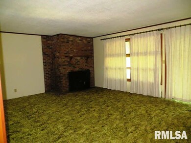 20 Gibbons Rd, Harrisburg, IL 62946 - photo 6