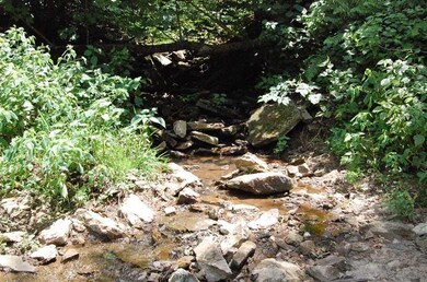 0 Brannan Mountain unit 1029397, Elkins, AR 72727 - photo 4