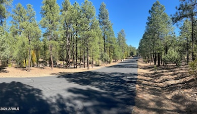 1450 Tia Cir unit 78, Show Low, AZ 85901 - photo 7