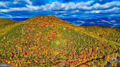 TBD U S Route 33, Franklin, WV 26807 - photo 3