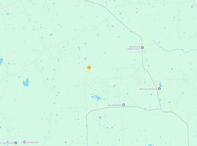 County Rd, Navasota, TX 77868 - photo 3