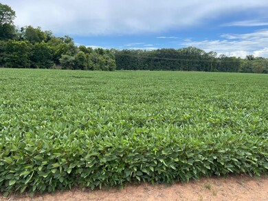 0 Hwy 71 unit 11462320, Colfax, LA 71417 - photo 6