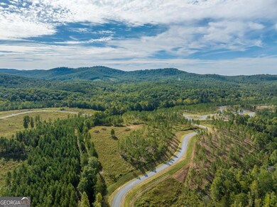 Lot 299 Twisted Oak Rd, Talking Rock, GA 30175 - photo 2
