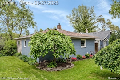 Side Yard