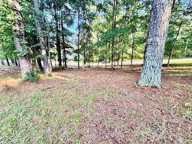 409 Grand Harbor Blvd, Ninety Six, SC 29666 - photo 3