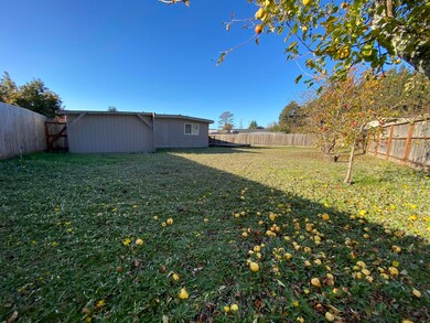 Back yard (1)