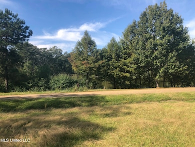 Lake rd-5 - Copy (2)