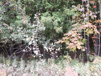 00 S Lakola Rd unit Lot 1, Reed City, MI 49677 - photo 2