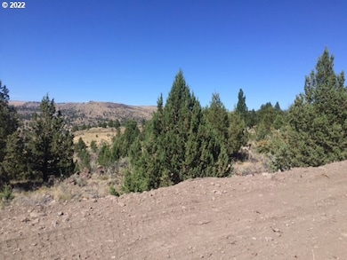 0 County Rd 74b unit 11554207, John Day, OR 97845 - photo 4