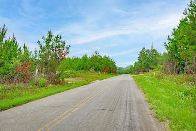 Humpback Bridge Rd, Chester, SC 29712 - photo 5