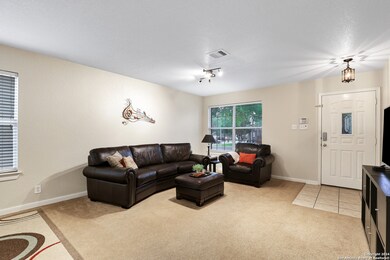 24550 Daisy Run, San Antonio, TX 78255 - photo 4