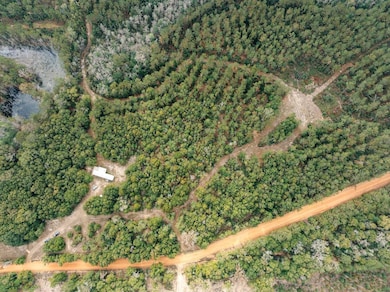 28874 Bell Crossing Rd, Opp, AL 36467 - photo 4