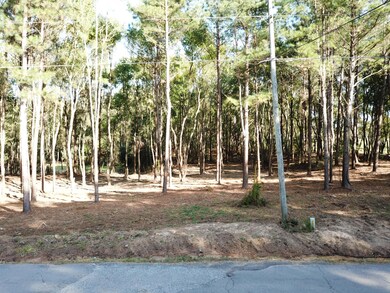 001 Cactus Dr, Laurel, MS 39443 - photo 6