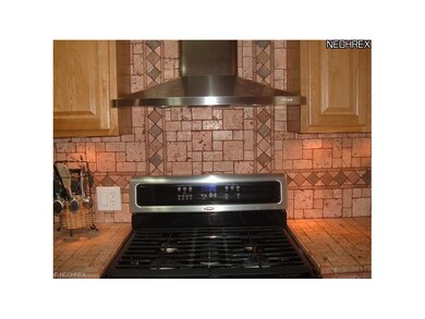 Stainless steel gas range and custom hood