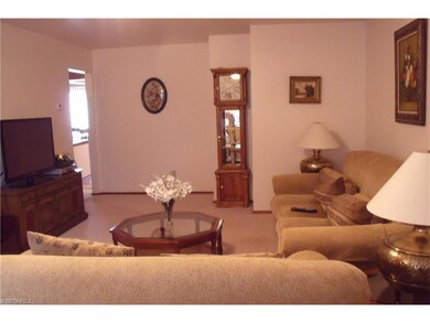 Living room, neutral carpet