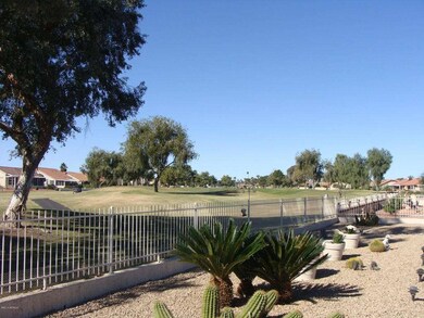 Backyard Golf Course View