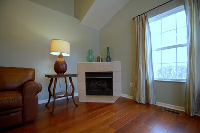 Gas Log Fireplace