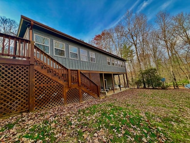 156 Peter Knob Rd, Blue Ridge, GA 30513 - photo 5