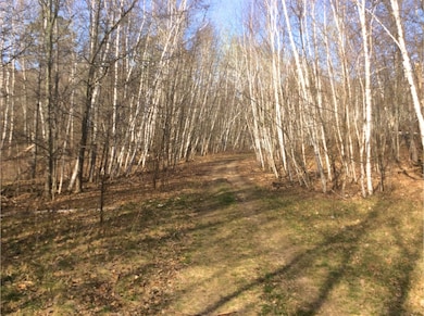 Delaware Trail, Breezy Point, MN 56472 - photo 5