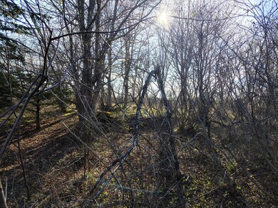 IMG_20250505_171740910_HDR