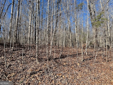 275 Shore Crest Dr, Martin, GA 30557 - photo 5