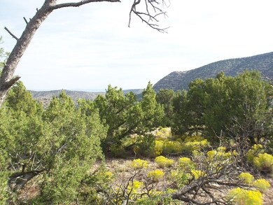 790 State Highway 165, Placitas, NM 87043 - photo 6