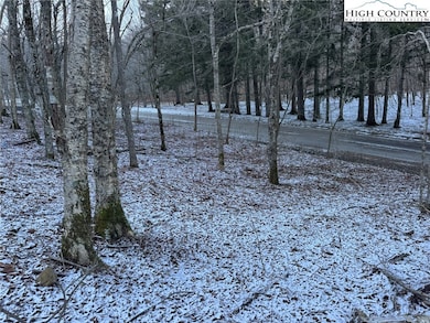 TBD Woodland Springs Rd, Boone, NC 28607 - photo 5