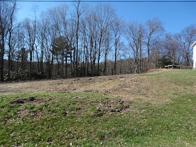 TBD Saint Moritz Dr, Fancy Gap, VA 24328 - photo 3