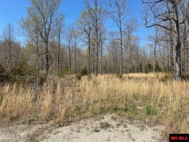 173 Ross Ln, Elizabeth, AR 72531 - photo 5