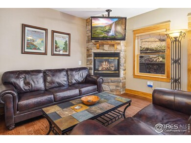 2625 Marys Lake Rd unit 101, Estes Park, CO 80517 - photo 4
