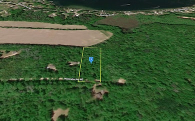 16299 Williams Woods Dr, Gowen, MI 49326 - photo 2