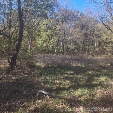 12834 N 68th West Ave, Skiatook, OK 74070 - photo 5