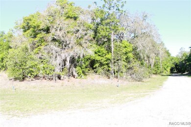 11074 N Edith Point, Citrus Springs, FL 34434 - photo 6