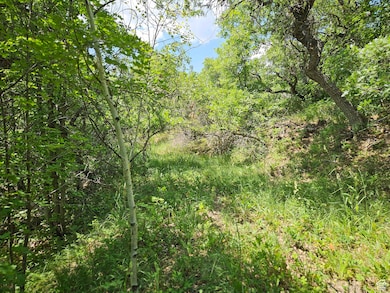 844 E Edgewood Dr unit 844, Fairview, UT 84629 - photo 2