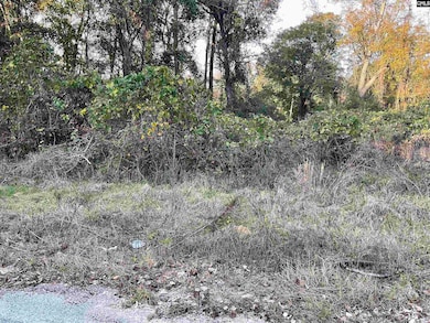 3551 Moonlight Rd, Barnwell, SC 29853 - photo 2