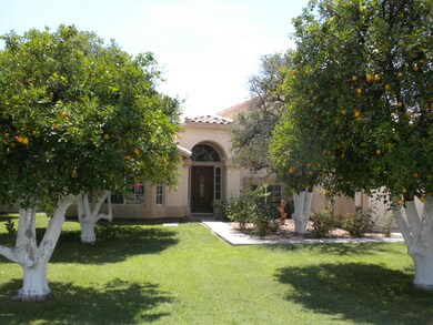 Front Yard