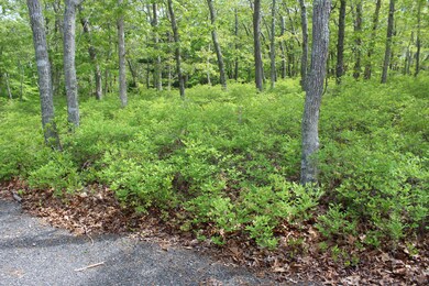 View of lot.