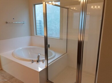 MASTER TUB  SHOWER