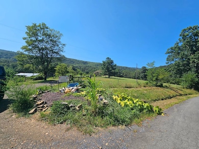 3176 Mountain View Rd, Junction, WV 26852 - photo 4