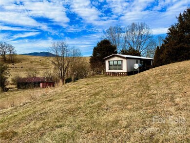 1088 Gouges Branch Rd, Leicester, NC 28748 - photo 5