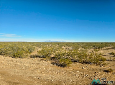 888 Las Palomas Canyon Rd Roads, Las Palomas, NM 87942 - photo 3